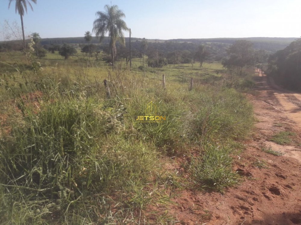 Fazenda, 19 hectares - Foto 6