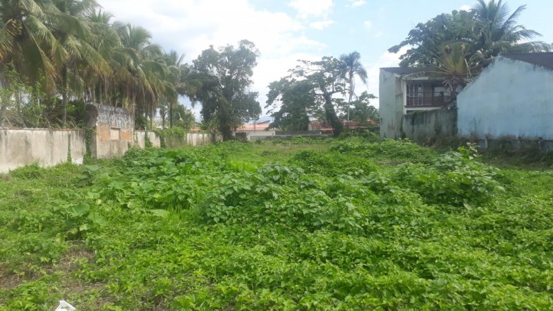 Terreno - Venda - Praia das Palmeiras - Caraguatatuba - SP