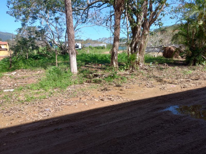 rea - Venda - Maranduba - Ubatuba - SP