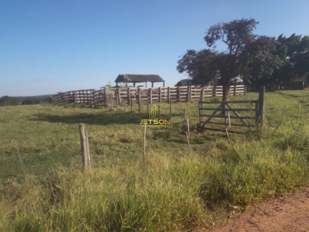 Fazenda - Venda - Centro - Marlia - SP