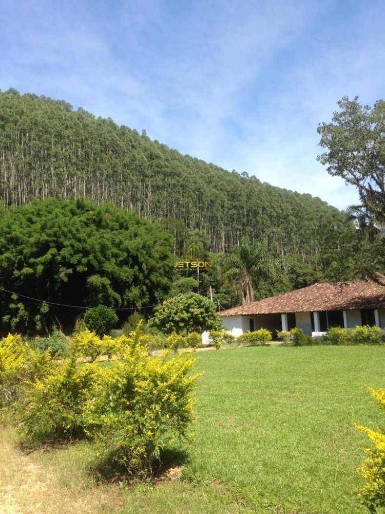 Fazenda - Venda - Nossa Senhora da Glria - Trememb - SP