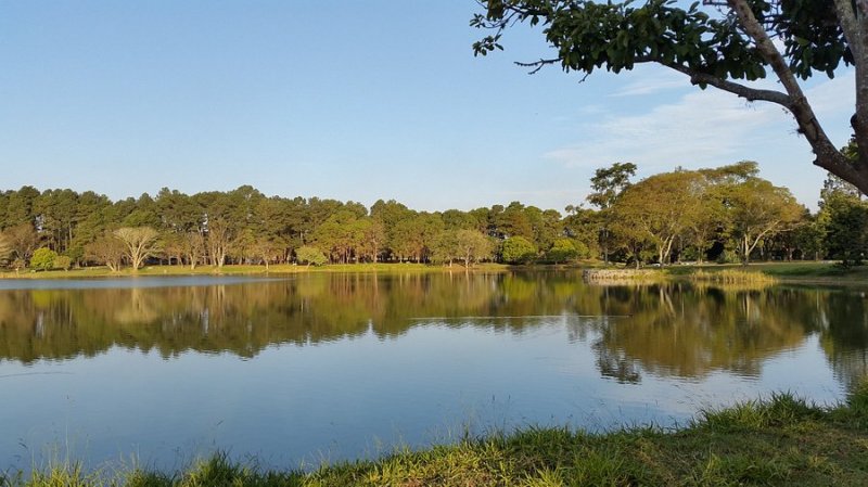 Terreno - Venda - Chcaras Pousada do Vale - So Jos dos Campos - SP