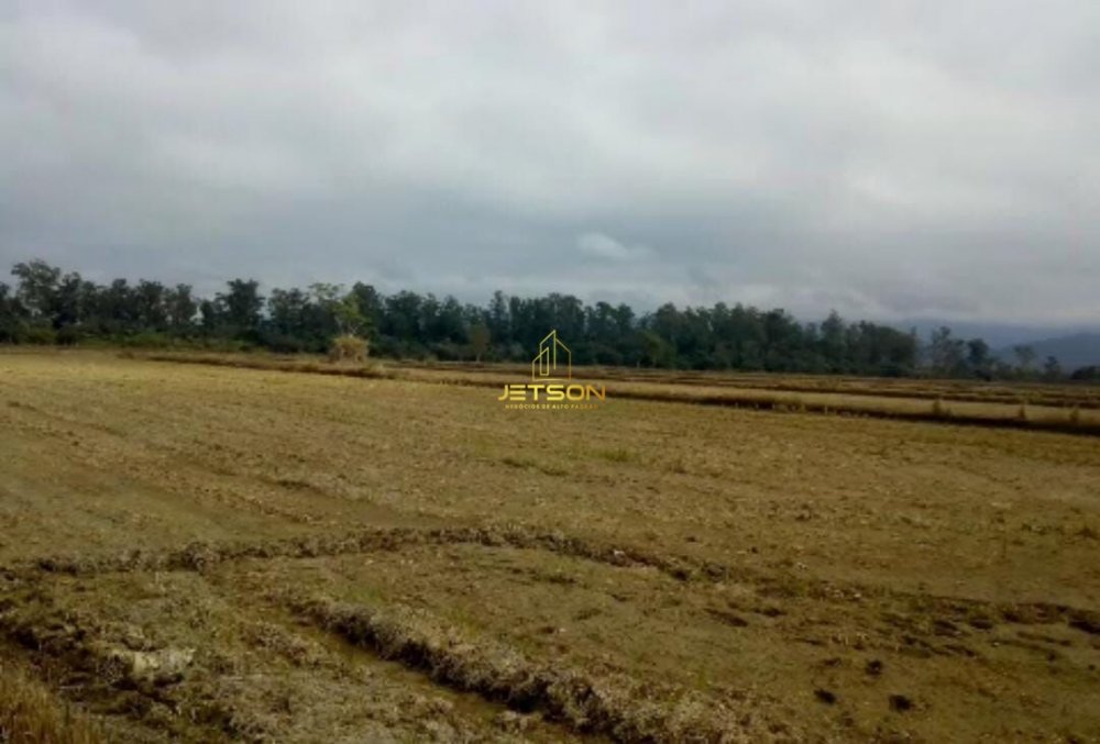 Fazenda - Venda - Centro - Pindamonhangaba - SP