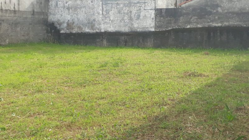 Terreno - Venda - Jardim Primavera - Caraguatatuba - SP