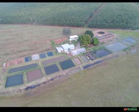 rea - Venda - Urnia - Urnia - SP