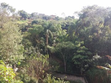 MUITO VERDE