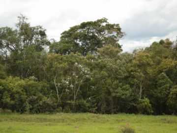 vista nos fundos da casa